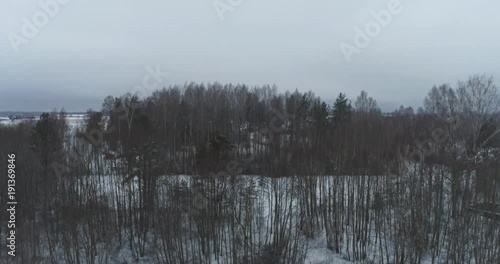 Aaerial view of winter fields, forest and trewes covered with snow. Countryside landscape. photo