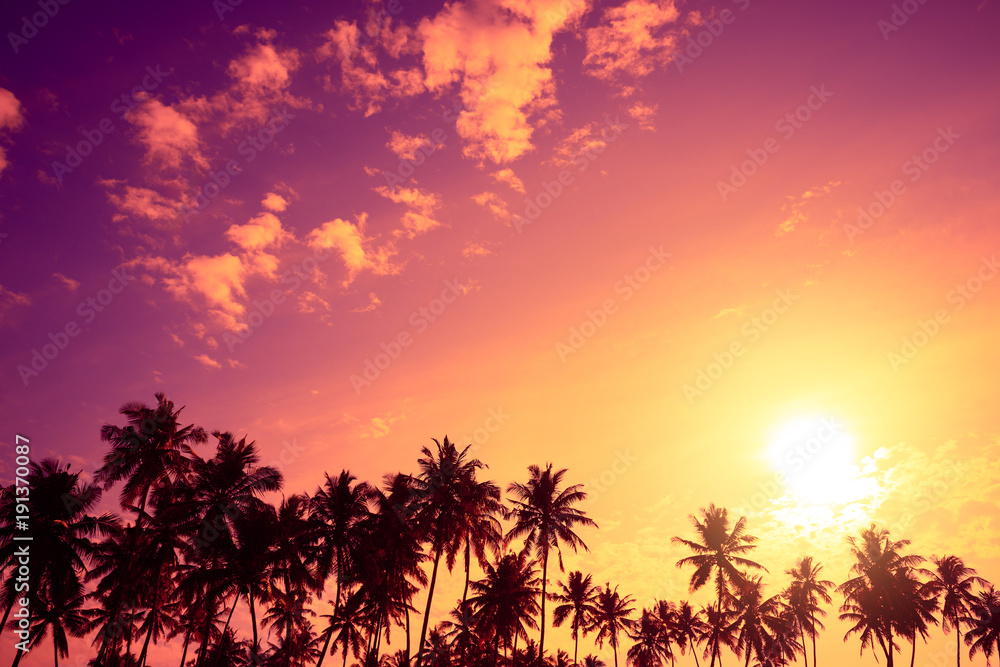 Tropical palm trees silhouettes at sunset. Vivid tropical beach sunset with big warm shining sun on vacation island.