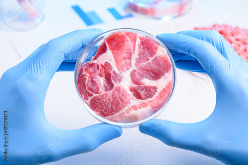 Whole meat sample in laboratory Petri dish. Cultured lab grown meat or meat examination concept.