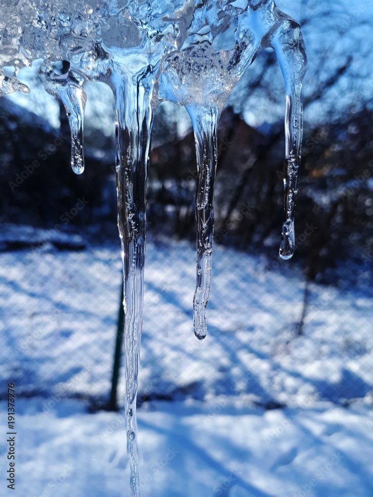 Row of big frosty icicles in nature Row of big frosty icicles in nature