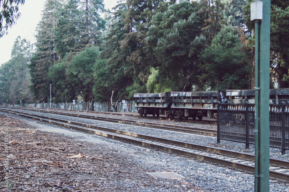 Obraz premium Old railway trailer abandoned