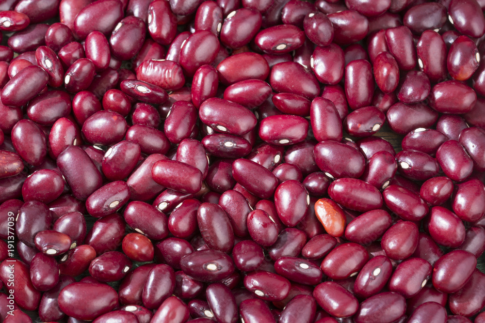 Raw red beans Phaseolus vulgaris Raw red beans Phaseolus vulgaris