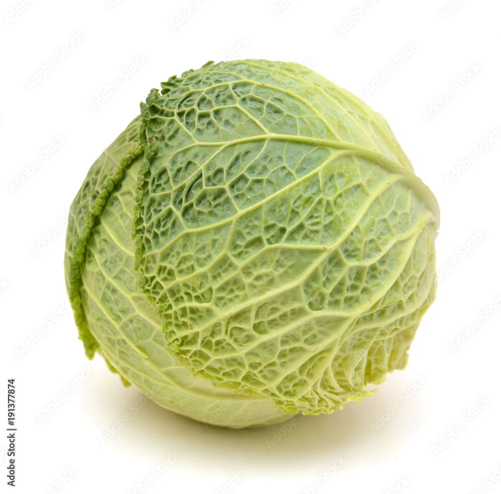 Fototapeta premium Savoy Cabbage head Isolated on White Background