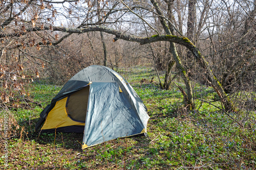 Tent in the wood