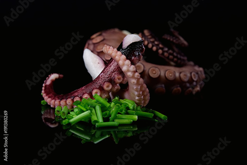 Octopus Tentakel