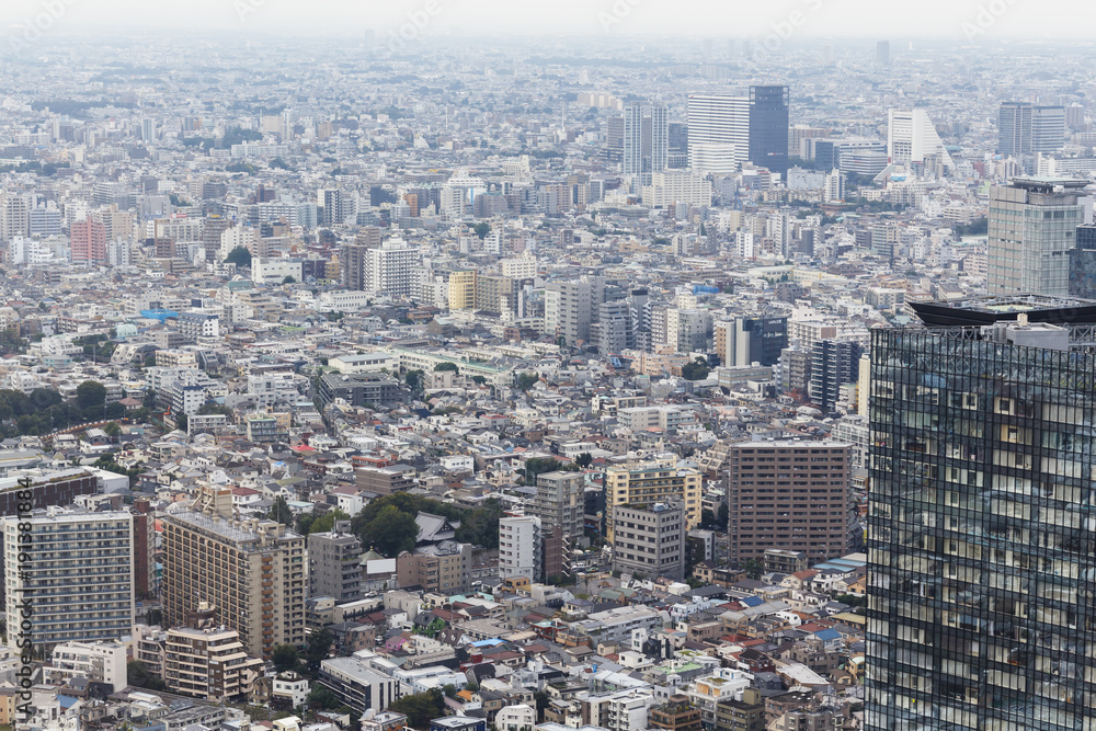 Tokyo city from the top