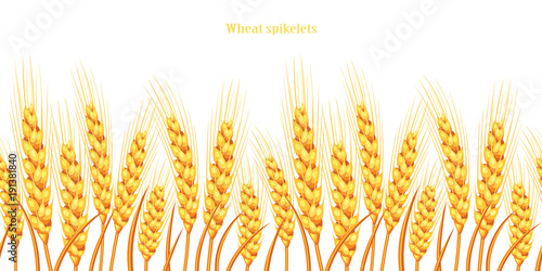 Vector silhouette of wheat. Wheat in the field on a white background