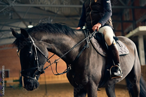 Horse reder on a horse in a riding arena sits in the saddle and legs in stirrups