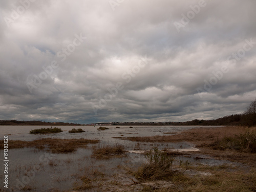 moody sky overcast autumn winter bay water ocean trees