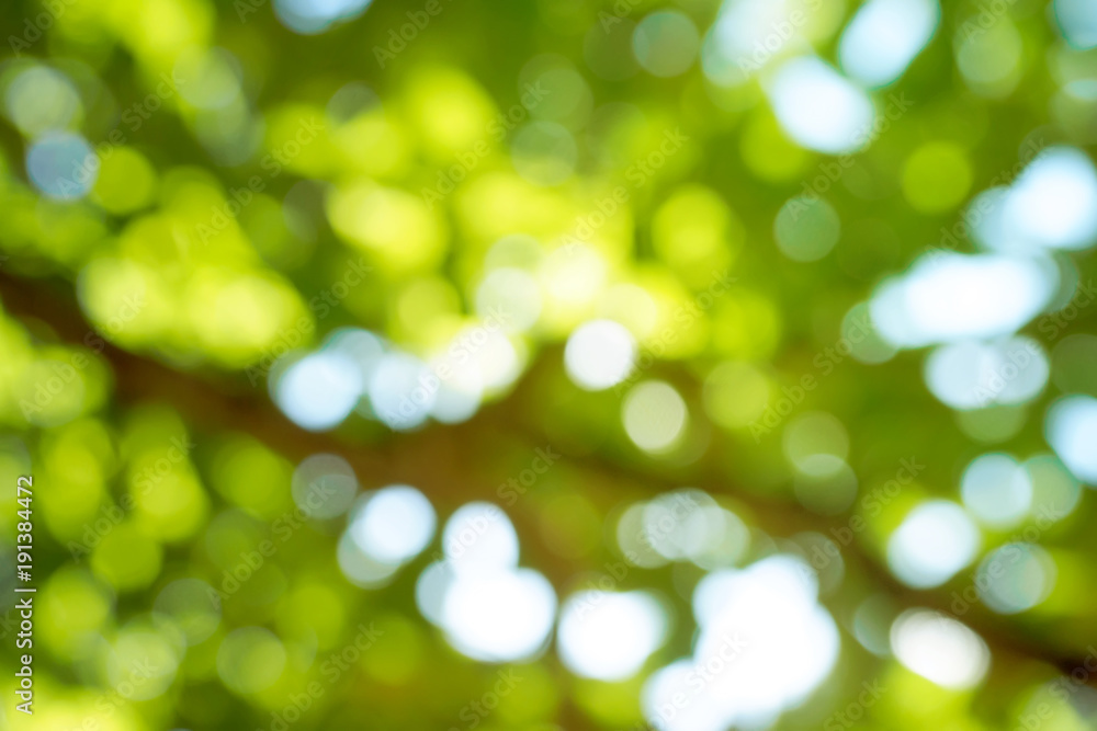 Fresh spring green nature Bokeh blurred background. Fresh spring green nature Bokeh blurred background.