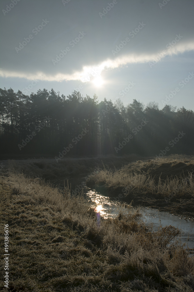 Obraz premium Wiosna