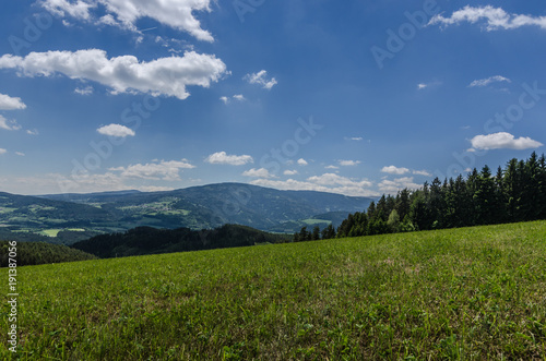 gruene wiese und landschaft