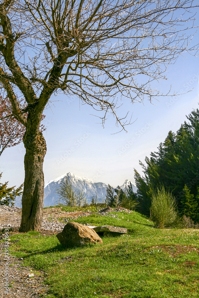 Vertical Landscape. A Tree without leaves on mountains in Arcadia, Greece. Vertical Landscape. A Tree without leaves on mountains in Arcadia, Greece.