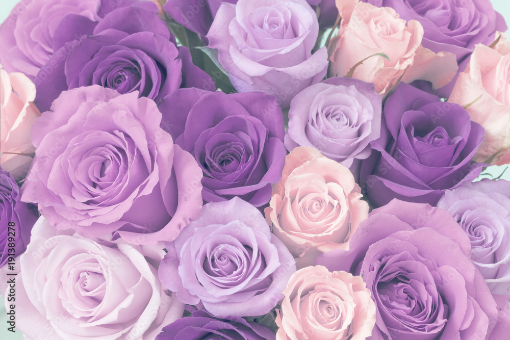 Obraz premium Bukiet róż