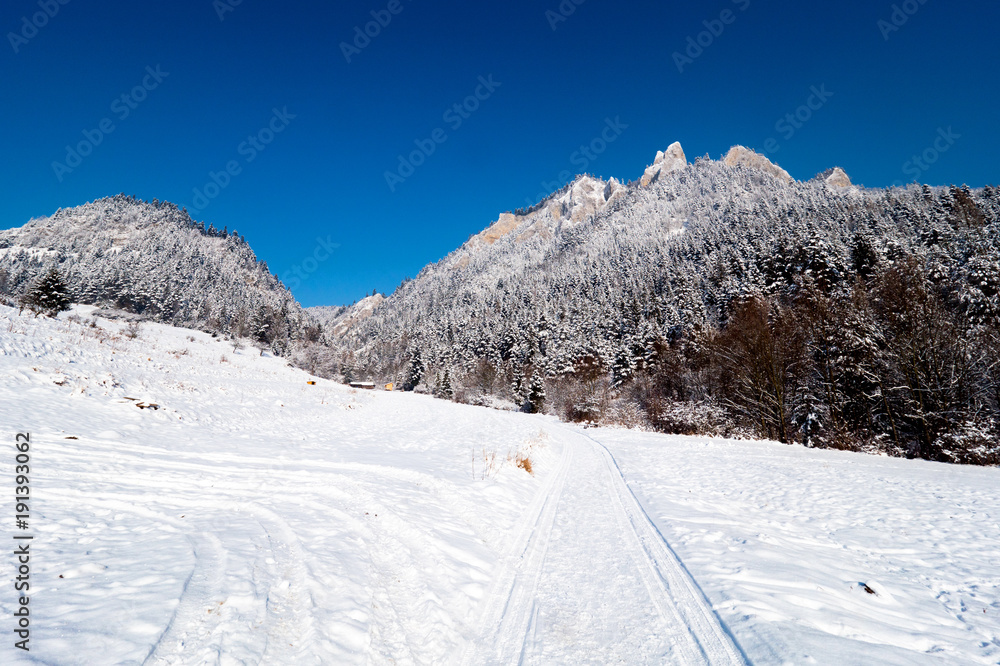 Zimowy krajobraz polskich gór Pienin