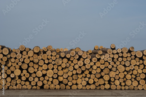 lumber yard
