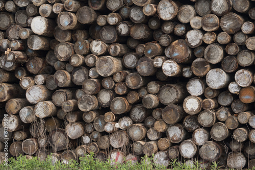 lumber yard