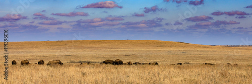 Schilderij op canvas Home on the Range