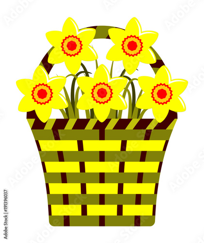 Fototapeta Naklejka Na Ścianę i Meble -  daffodils in basket