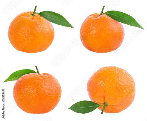 tangerine or mandarin fruit isolated on white background