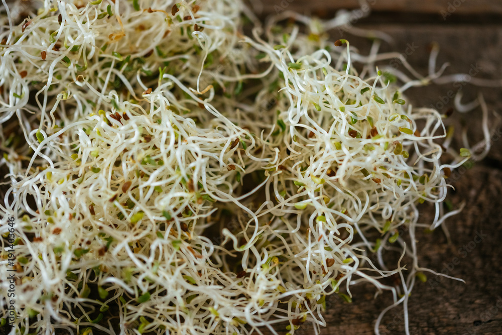 Fresh Alfalfa Sprouts Fresh Alfalfa Sprouts