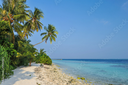 Tropical beach in Maldives.Tropical Paradise at Maldives with palms, sand and blue sky Untouched tropical beach in Maldives.Caribbean paradise