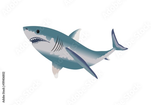 Blue shark 