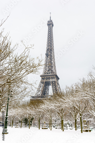 Winter in Paris in the snow. The Eiffel tower seen from the Champ de Mars with a snow covered tree lined alley in the foreground. © olrat