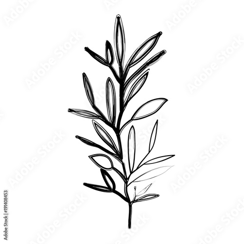 ramification with several leaves on blurred silhouette vector illustration