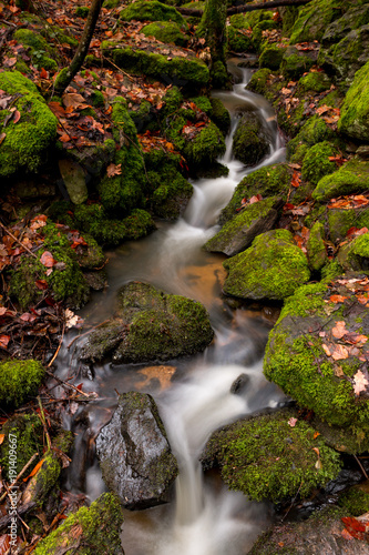 Wildbach