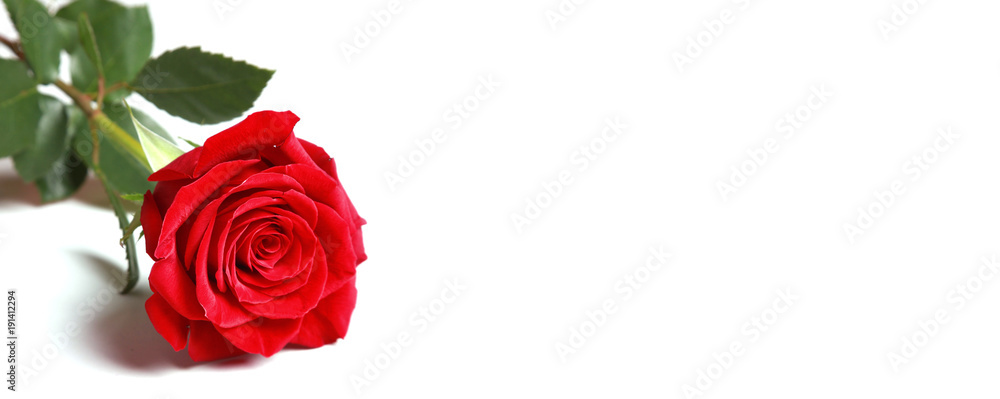 Rote Rosen Rote Rosen