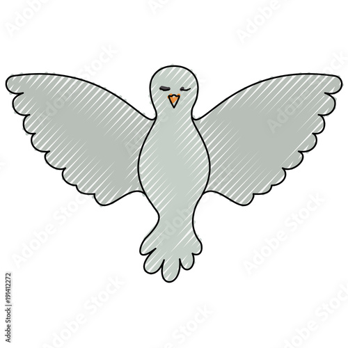 pigeon peace front view on color crayon silhouette vector illustration