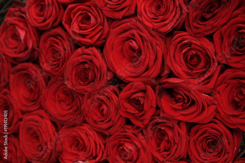 Fototapeta Naklejka Na Ścianę i Meble -  Red roses in bridal bouquet