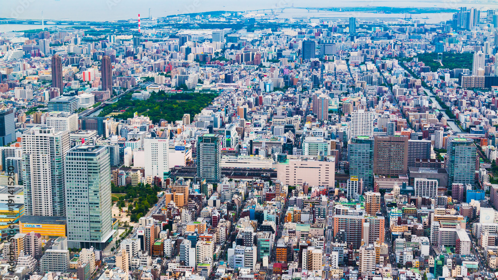 Tokyo. The Biggest City On Earth.