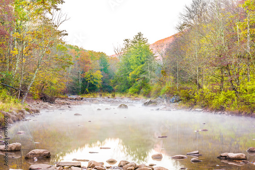 Fototapet Morning river tea creek landscape with mist, fog and autumn fall foliage forest,