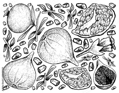 Hand Drawn Background of Fresh Figs and Pomegranate