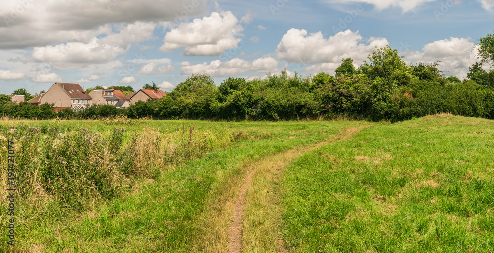 British countryside wih Beautiful park scene in public park with green grass field, green tree plant and a party cloudy blue sky