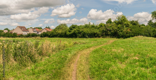 British countryside wih Beautiful park scene in public park with green grass field  green tree plant and a party cloudy blue sky