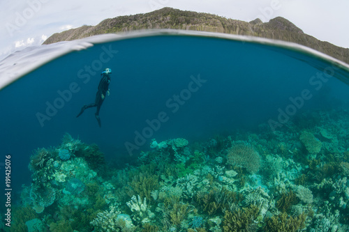 A Free Diver Ascends From a Coral Reef in Raja Ampat