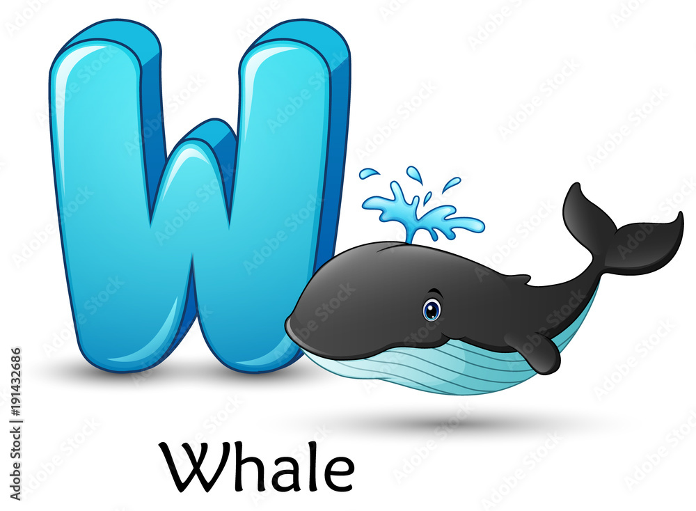 Fototapeta premium Letter W is for Whale cartoon alphabet