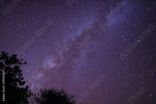 The Panorama Milky way galaxy with stars and space dust in the universe, Long exposure photograph, with grain.fore ground tropical forest , thailand