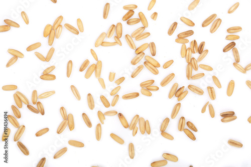 oat grains isolated on white background. Top view. Flat lay