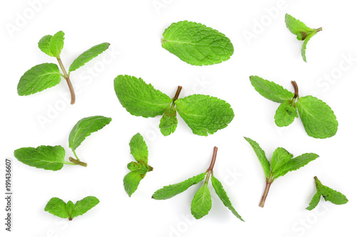 fresh green mint leaves isolated on white background, top view. Flat lay