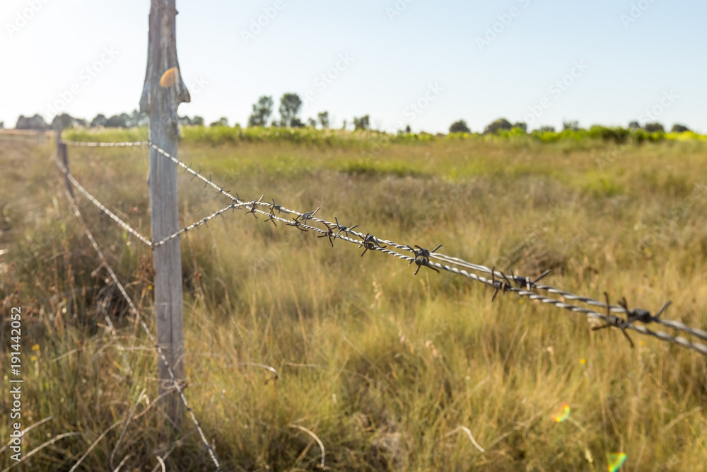 Obraz premium A barbed wire fence with wooden post