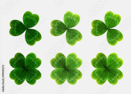 Set of green leaves of clover. realistic vector