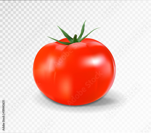 Red tomato. Realistic vector illustration