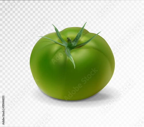 Green realistic isolated tomato. 3d tomato