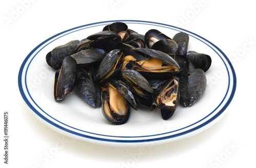 cooked open blue mussels on white background