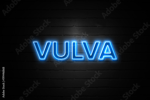Vulva neon Sign on brickwall