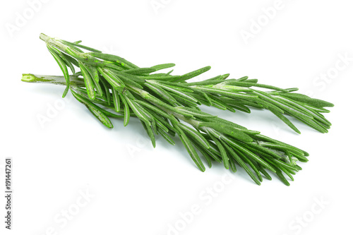 Fresh green rosemary isolated on a white background